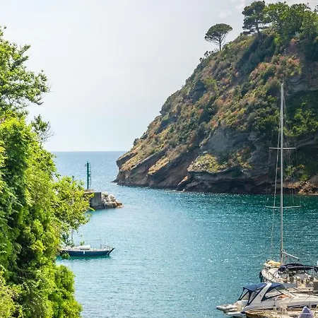 Chiaiolella Seaview!! Apartment *